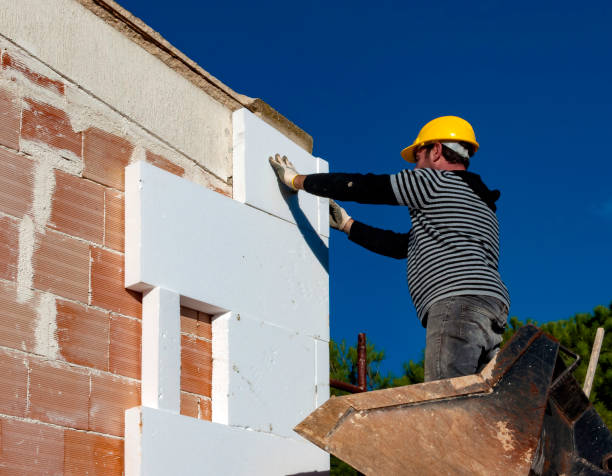 Best Geographic-Specific Insulation Services in Torrance, CA
