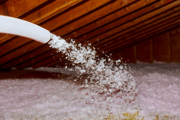 Best Spray Foam Insulation in Torrance, CA