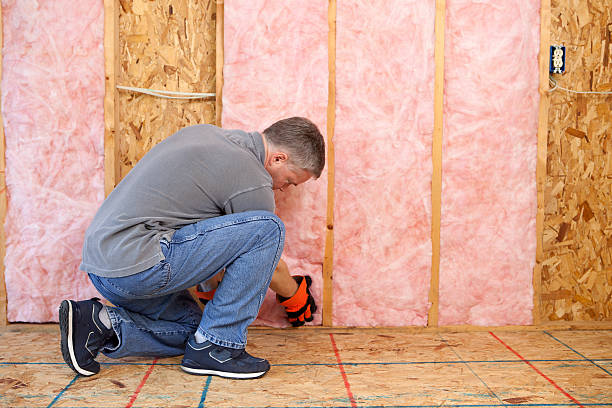 Best Spray Foam Insulation in Torrance, CA