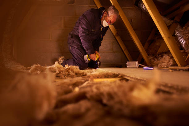 Best Specialized Insulation Services in Torrance, CA